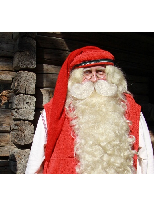 Международный портрет Деда Мороза